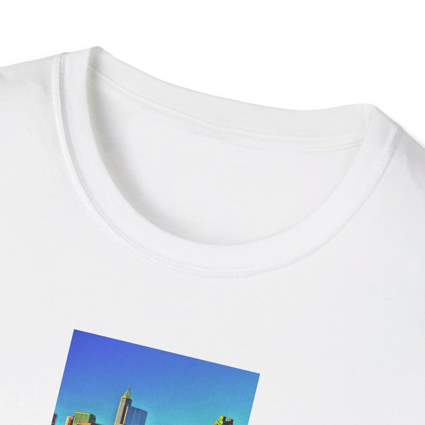 The 919 - Raleigh, North Carolina T-shirt