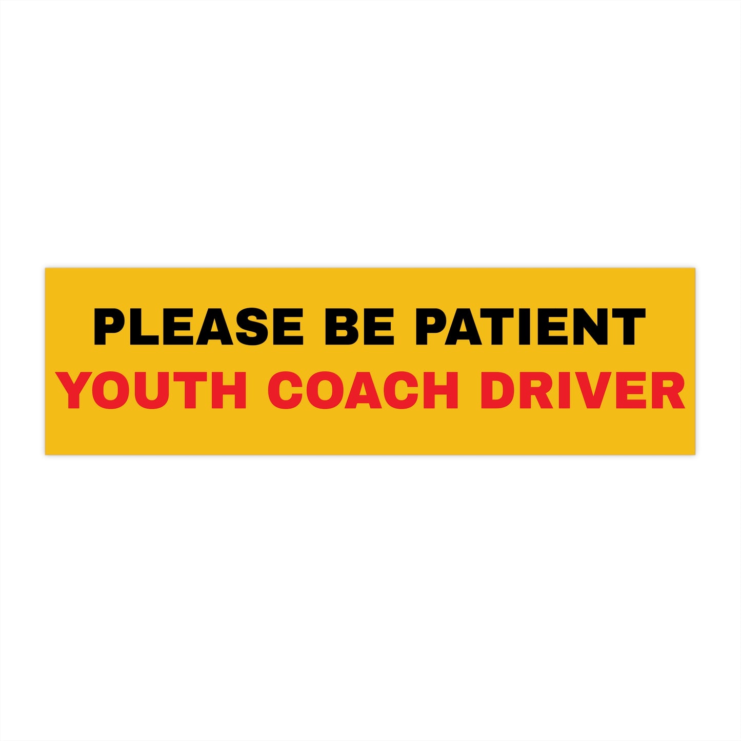 YOUTH COACH DRIVER